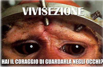 vivisezione_scimmia